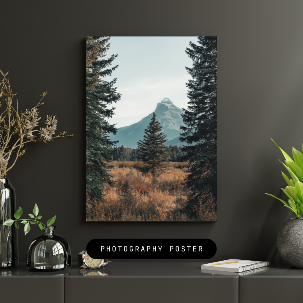 untitled design (14)