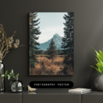 untitled design (14)